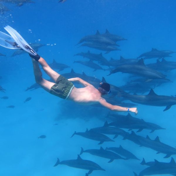 08 DAYS MARSA ALAM & OVERDAY LUXOR