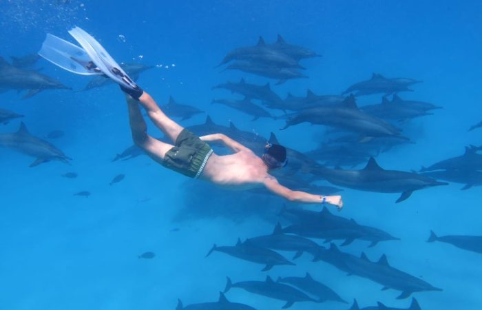 08 DAYS MARSA ALAM & OVERDAY LUXOR