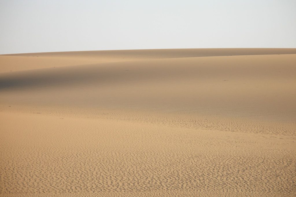 06 NIGHTS INTO THE DESERT