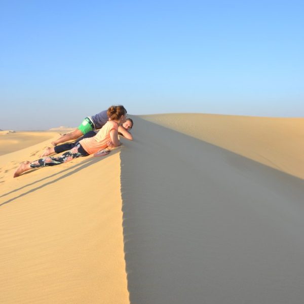 06 NIGHTS INTO THE DESERT