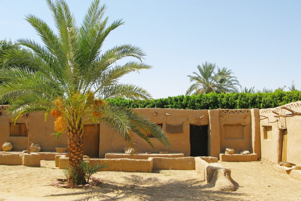 06 NIGHTS INTO THE DESERT