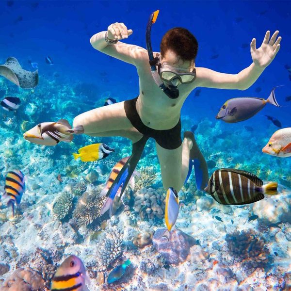 15 DAYS EXPLORING EGYPTIAN TREASURES