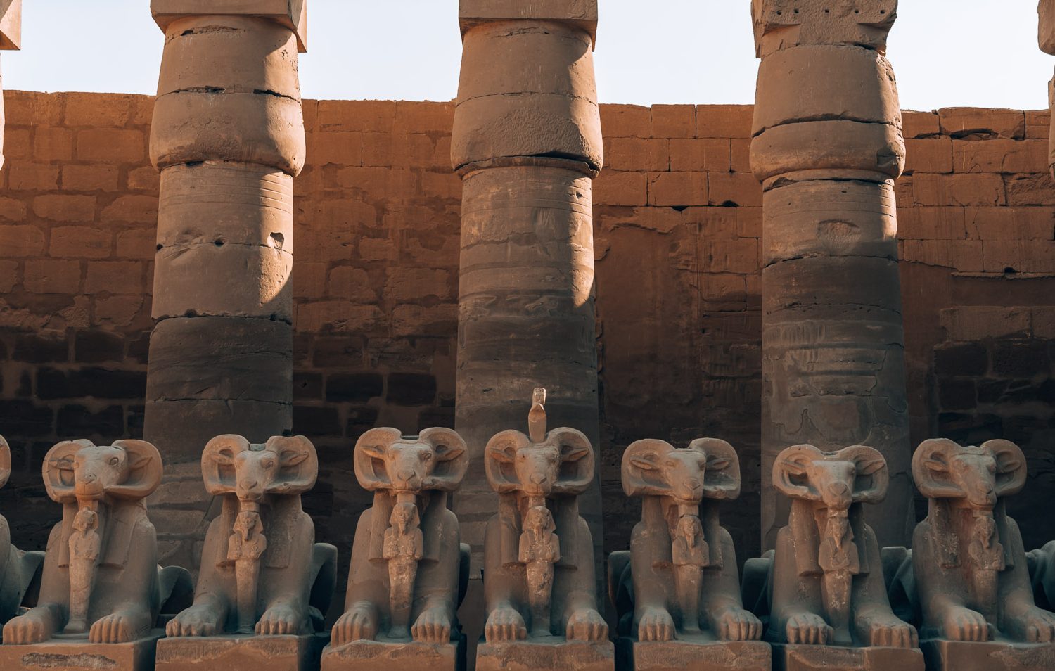 Egypt-Luxor-Le-Fayan-Karnak-Temple343-BLOGPOST