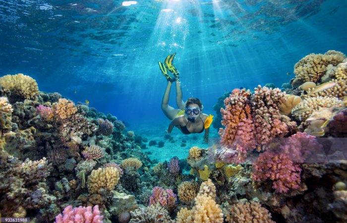 SNORKELING DAY AT RAS MOHAMED