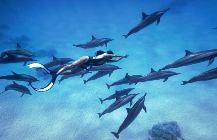 08 DAYS MARSA ALAM & NILE CRUISE