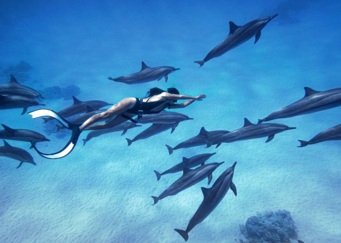 08 DAYS MARSA ALAM & NILE CRUISE